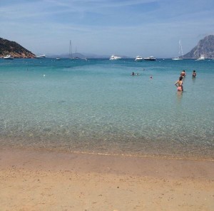 Spiaggia Coda Cavallo (San Teodoro)