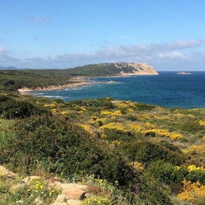 Cala Pischina (Sardegna)