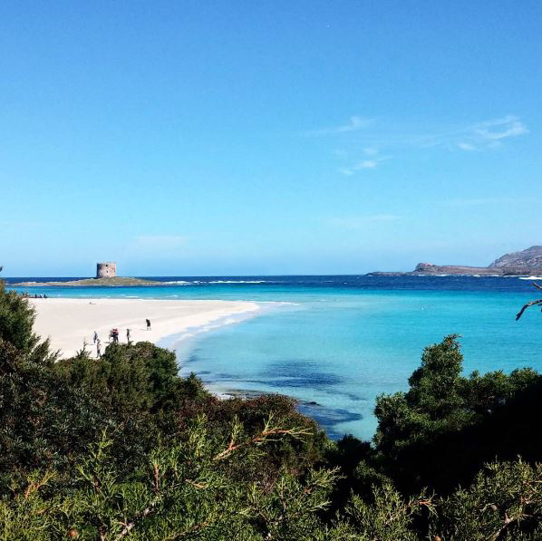 Spiaggia La Pelosa My Sardinia